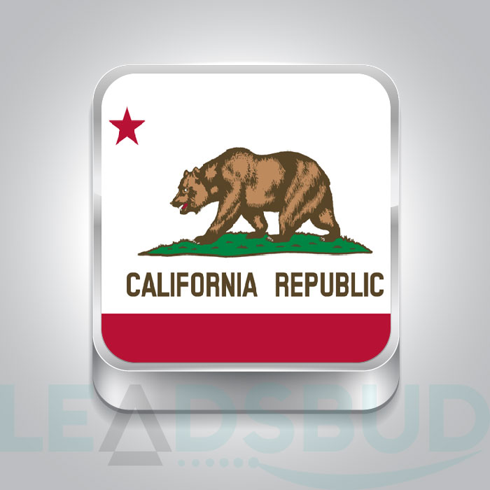 USA State California Business Email List