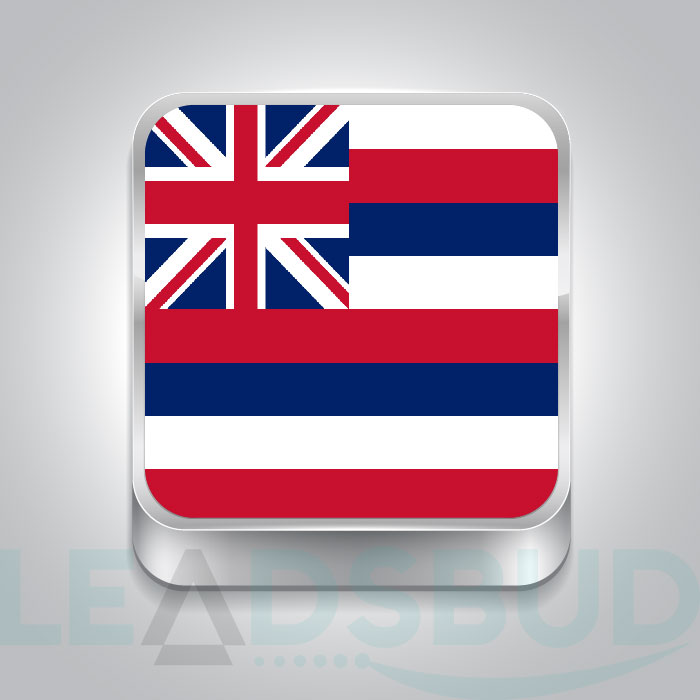 USA State Hawaii Business Email List
