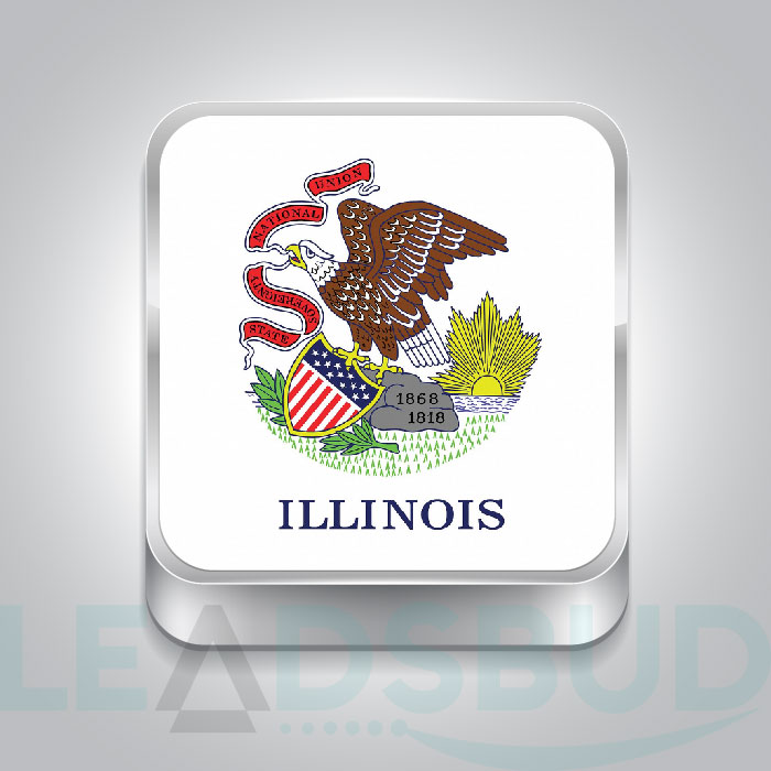 USA State Illinois Business Email List