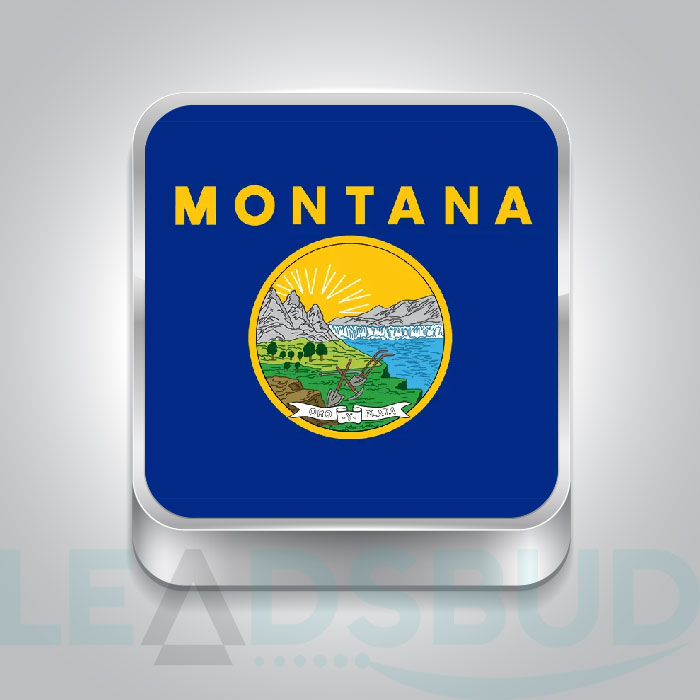USA State Montana Business Email List