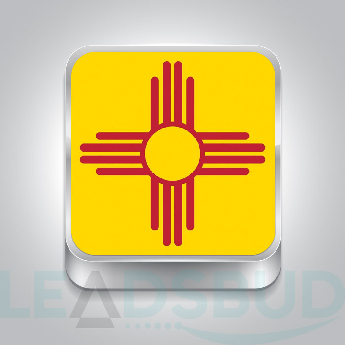 USA State New Mexico Business Email List
