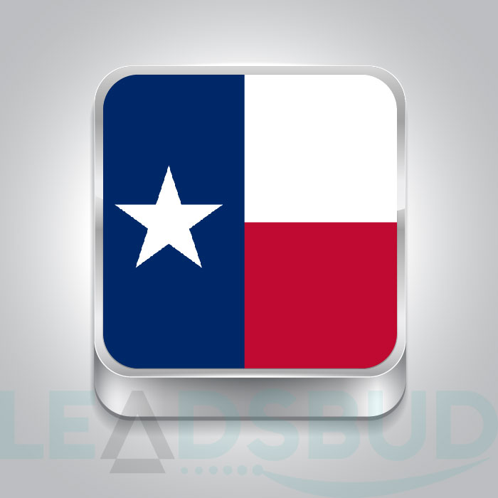 USA State Texas Business Email List